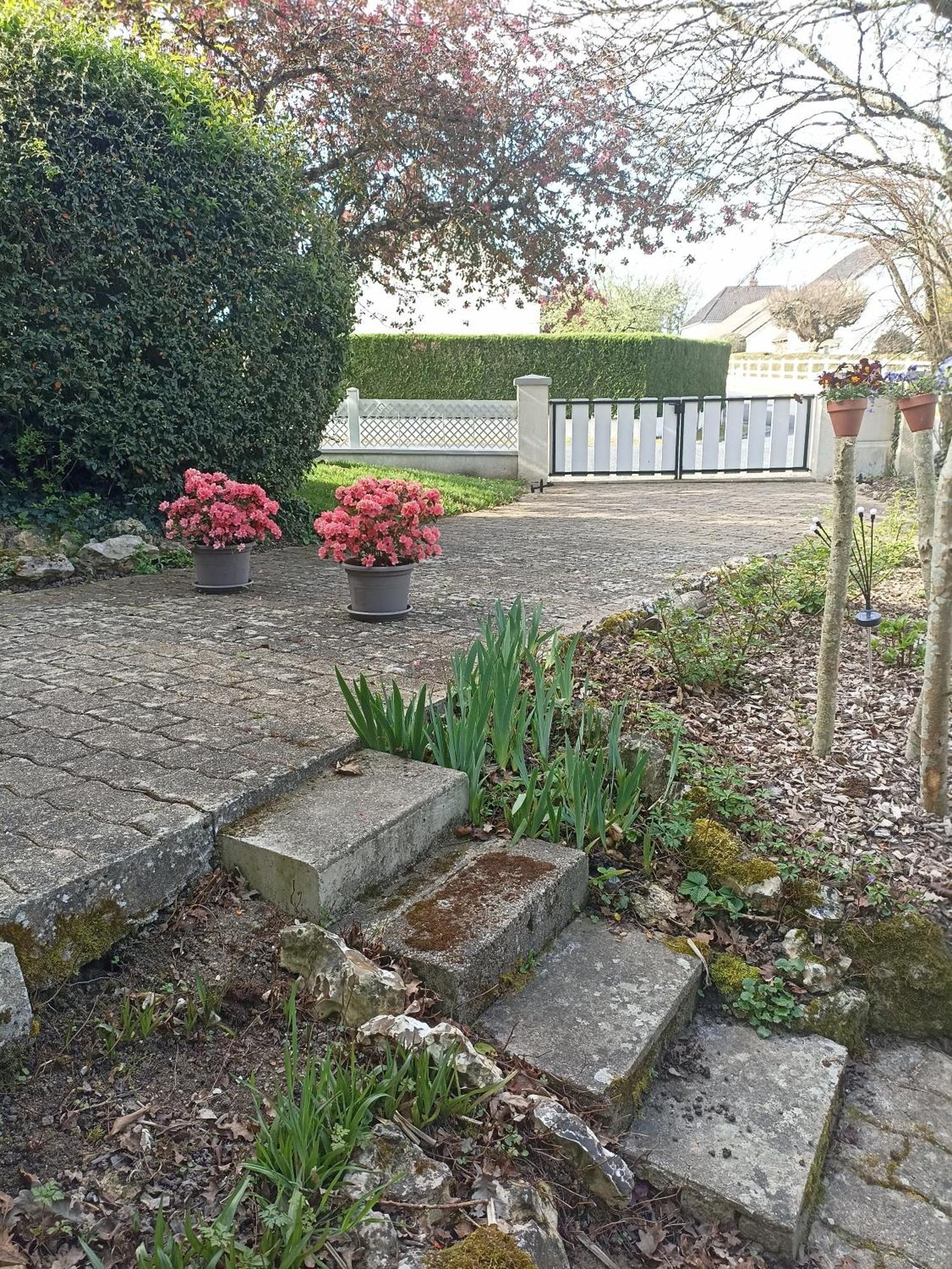 Entre 2 Chateaux Onzain Exterior foto